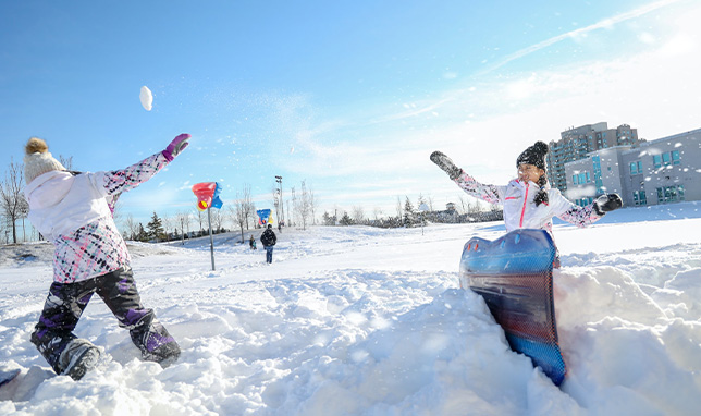 ‘Tis the Season: Fun Winter Activities in the Midwest